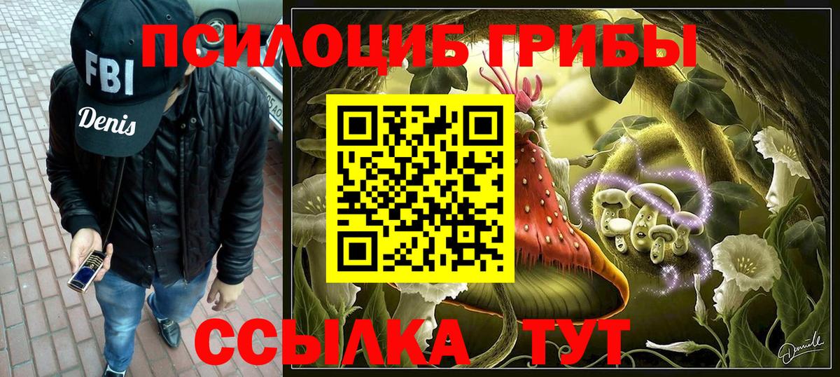 Джанкой  Псилоцибиновые грибы прущие грибы  Вход с VPN  Галлюциногенные грибы Psilocybine cubensis 